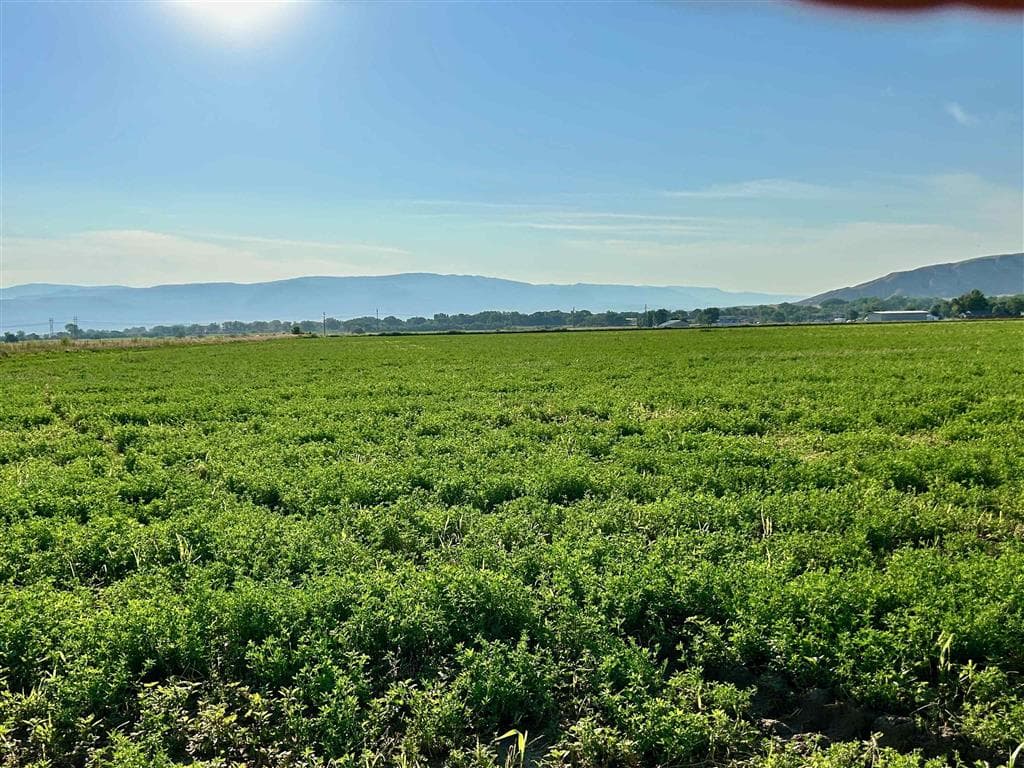 1135 Road 13 — photo 32 of 73