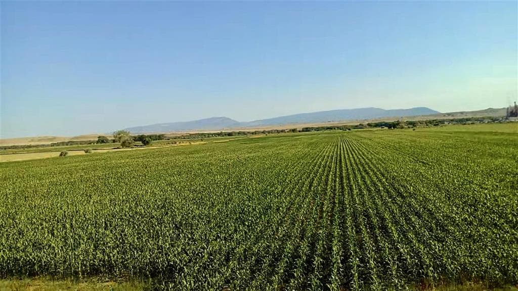 1135 Road 13 — photo 38 of 73