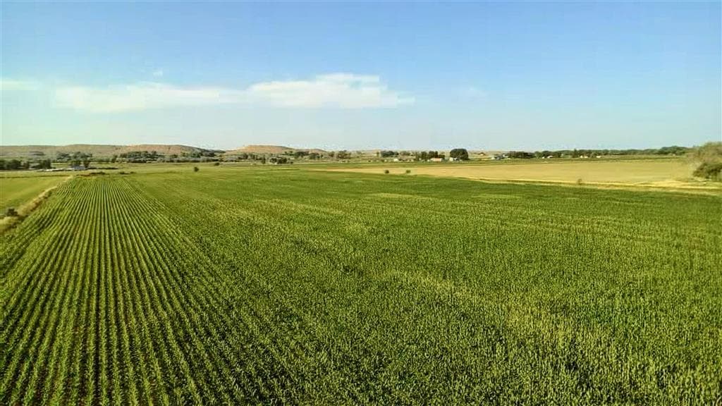 1135 Road 13 — photo 41 of 73