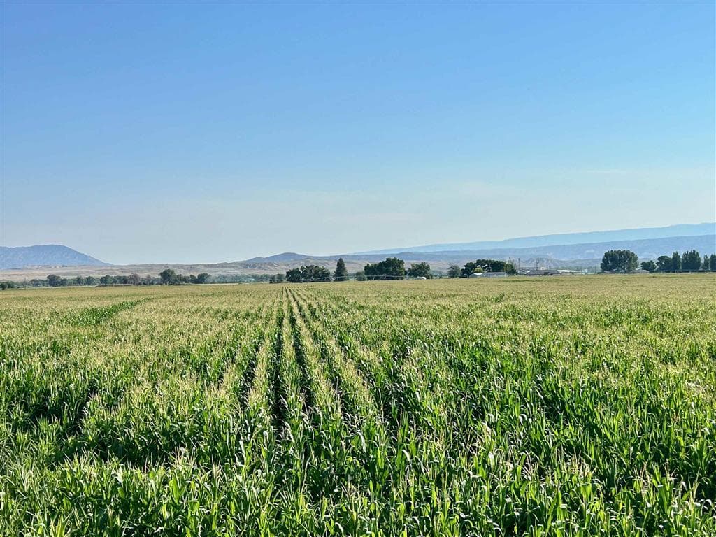 1135 Road 13 — photo 57 of 73