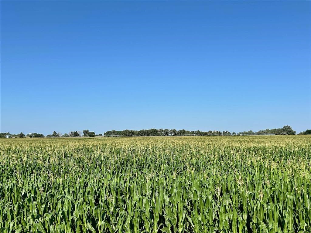 1135 Road 13 — photo 72 of 73