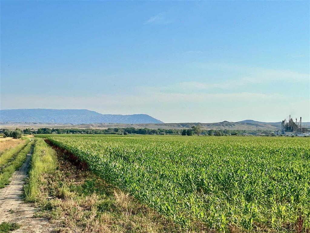 1135 Road 13 — photo 10 of 73