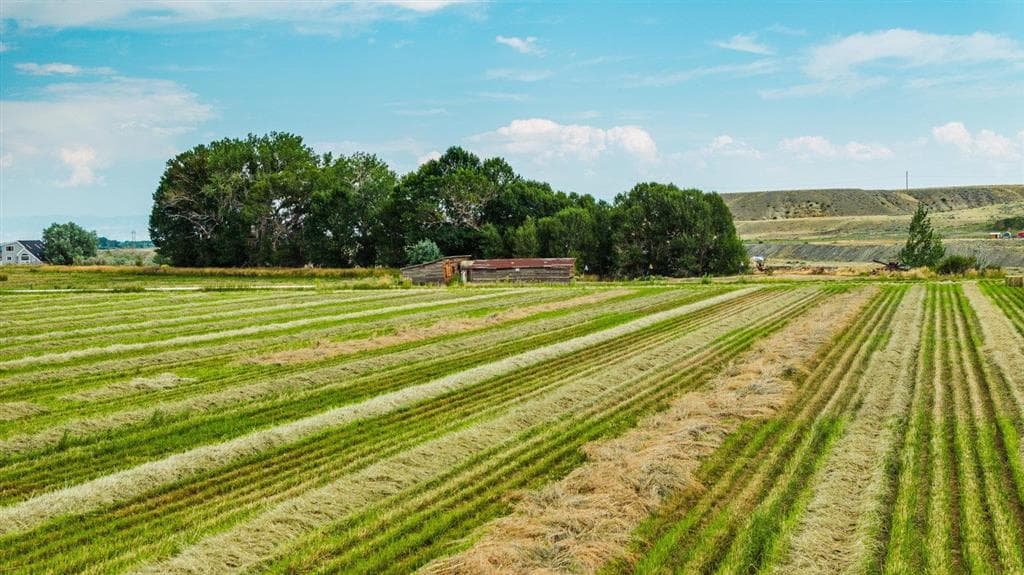 1742 Lane 14 — photo 11 of 67