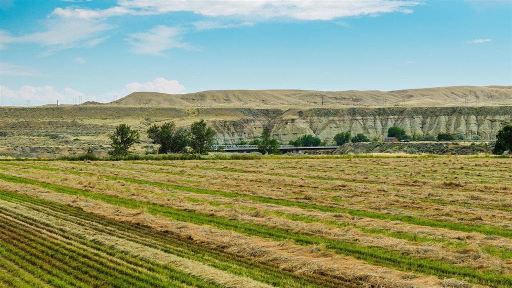 1742 Lane 14 — photo 12 of 67