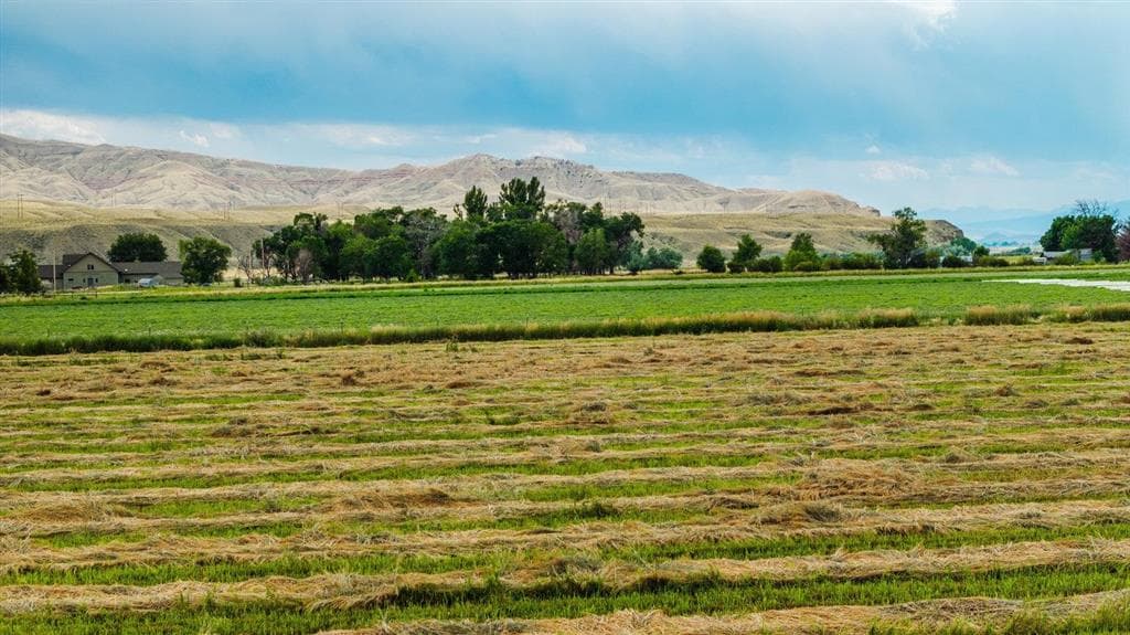 1742 Lane 14 — photo 13 of 67