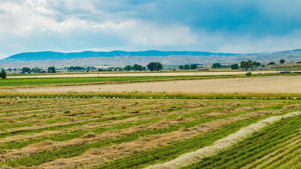 1742 Lane 14 — photo 14 of 67