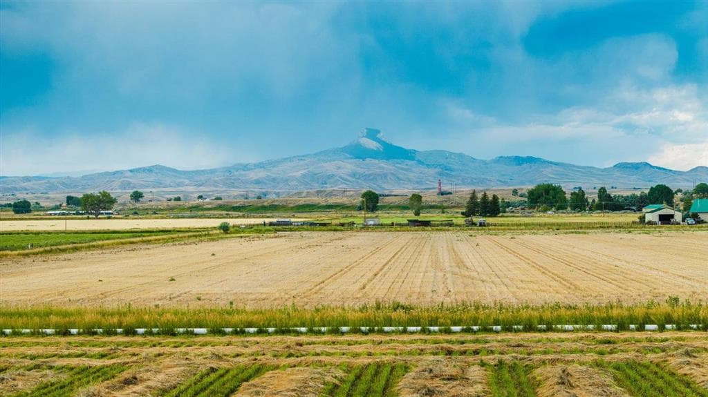 1742 Lane 14 — photo 15 of 67