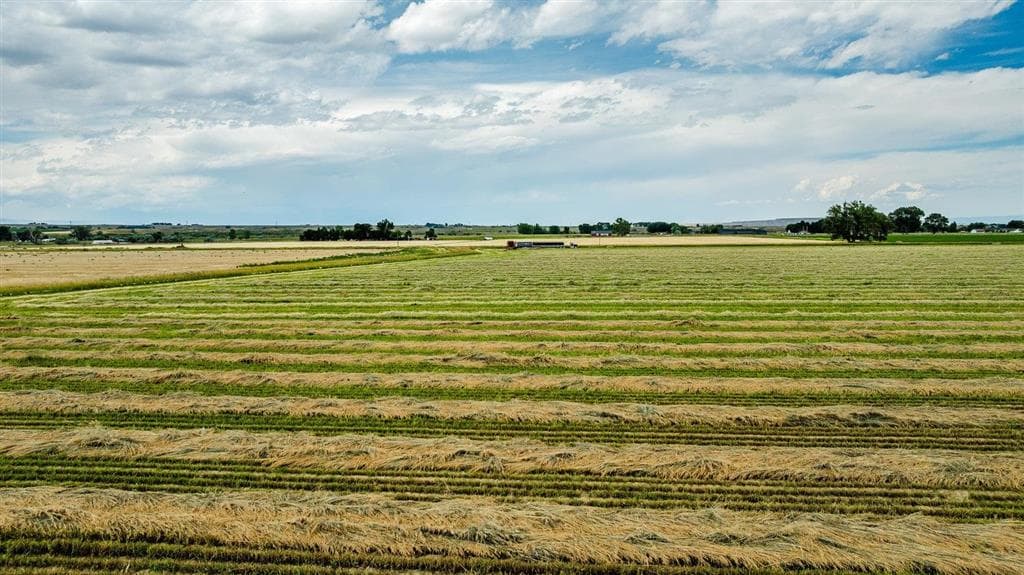 1742 Lane 14 — photo 16 of 67