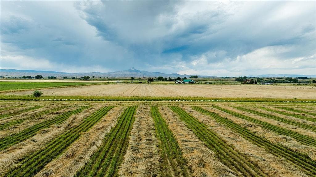 1742 Lane 14 — photo 17 of 67