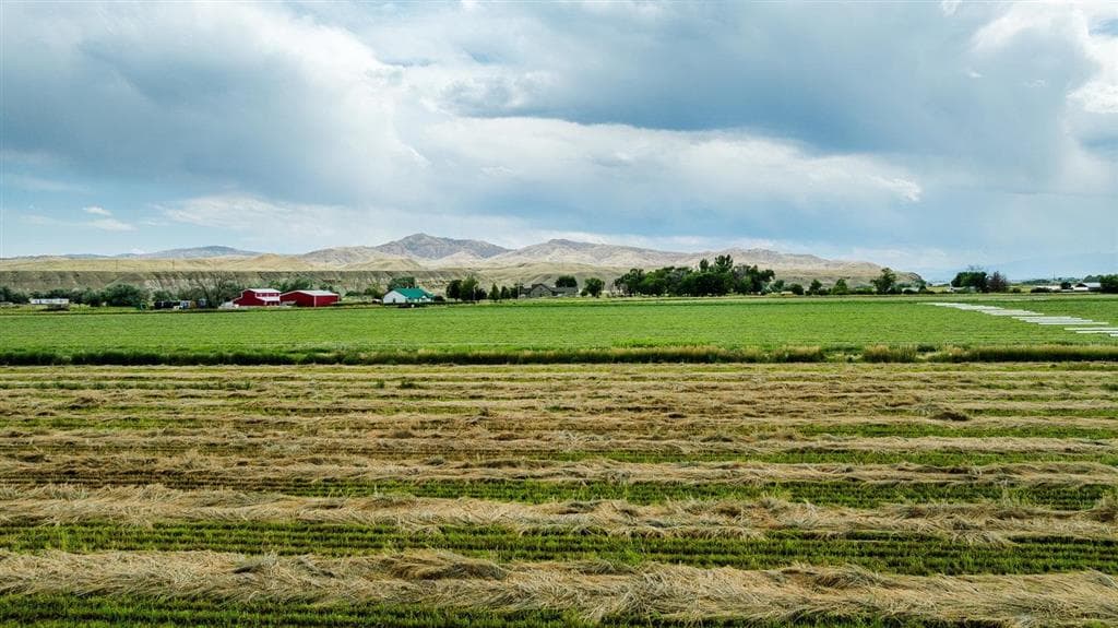 1742 Lane 14 — photo 18 of 67