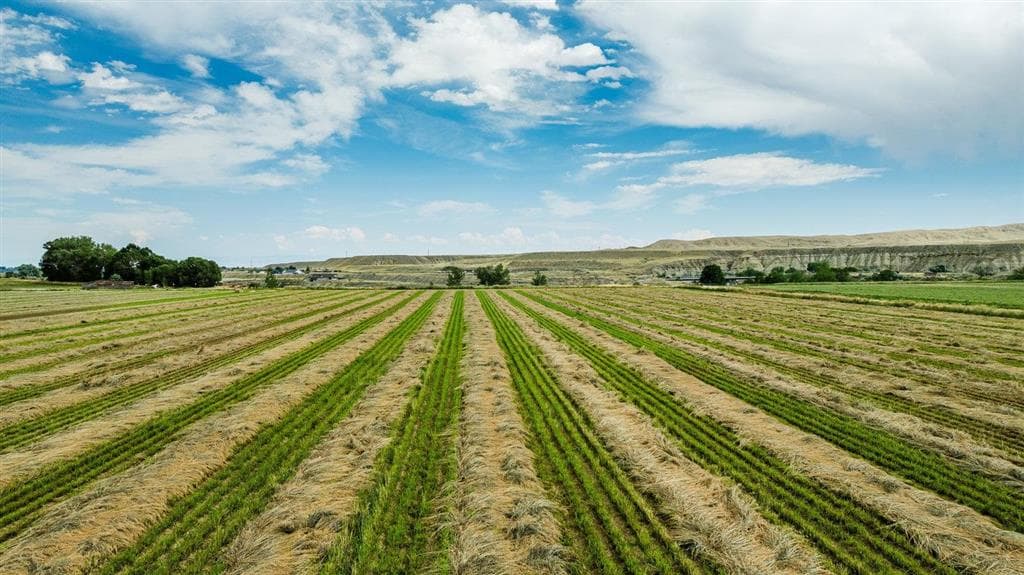 1742 Lane 14 — photo 19 of 67