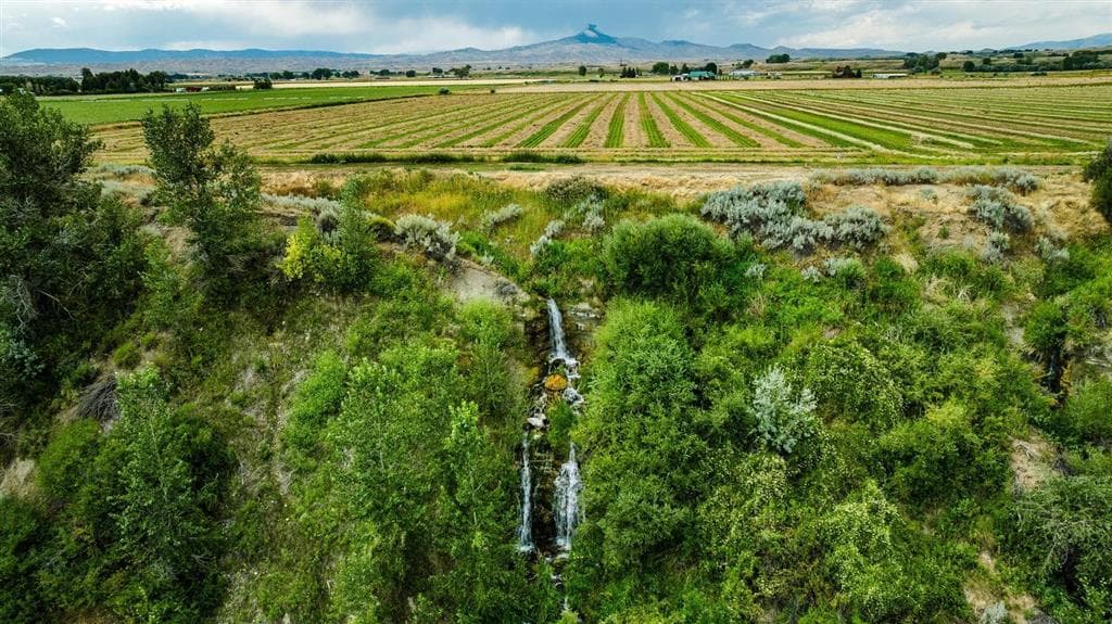 1742 Lane 14 — photo 21 of 67