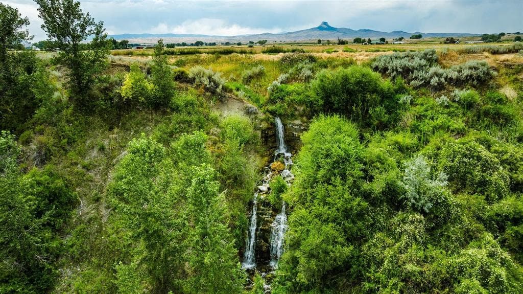 1742 Lane 14 — photo 46 of 67