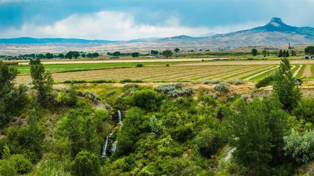 1742 Lane 14 — photo 47 of 67