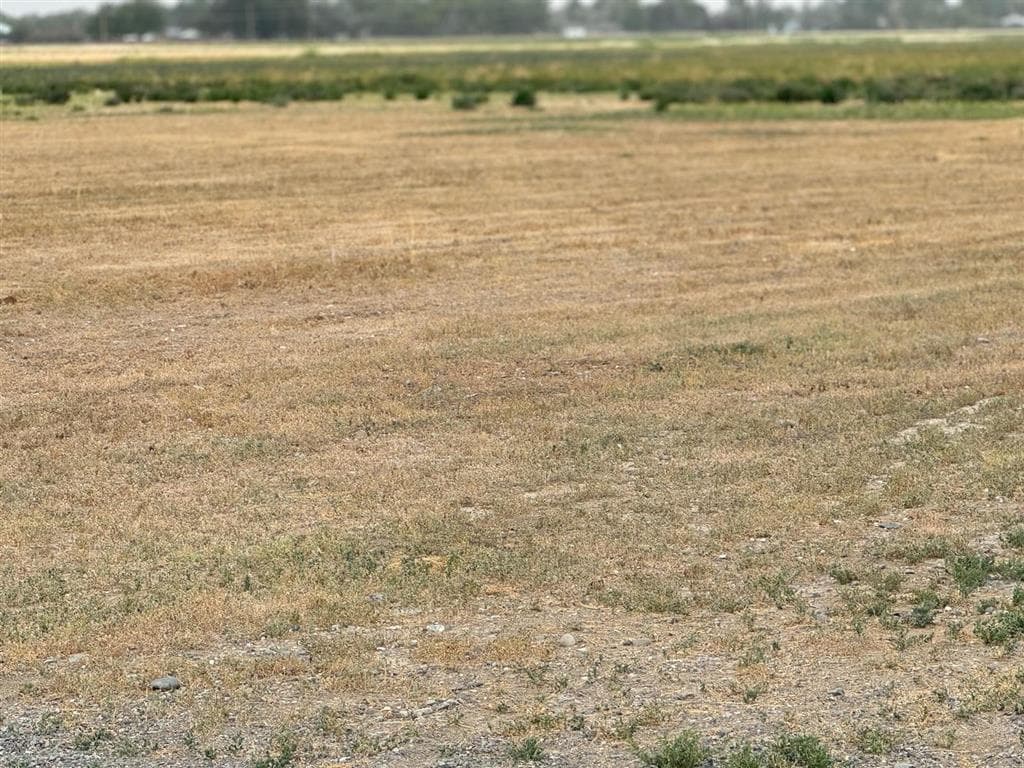 TBD Gun Barrel Ln — photo 2 of 4