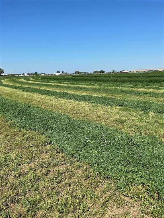 2303 Lane 40 — photo 2 of 55