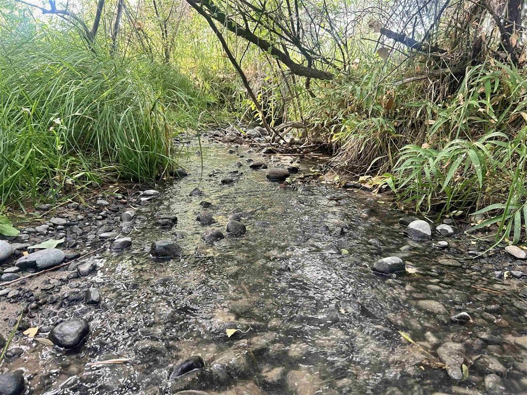 2303 Lane 40 — photo 55 of 55