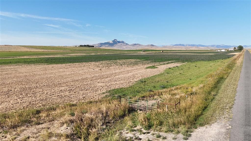 TBD Lane 11 — photo 12 of 12