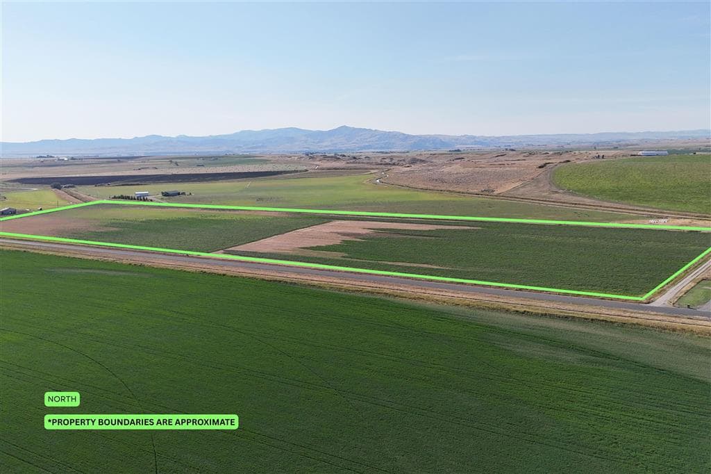 TBD Lane 11 — photo 4 of 12