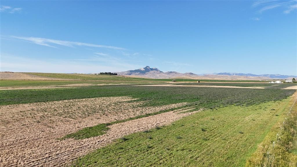 TBD Lane 11 — photo 5 of 12