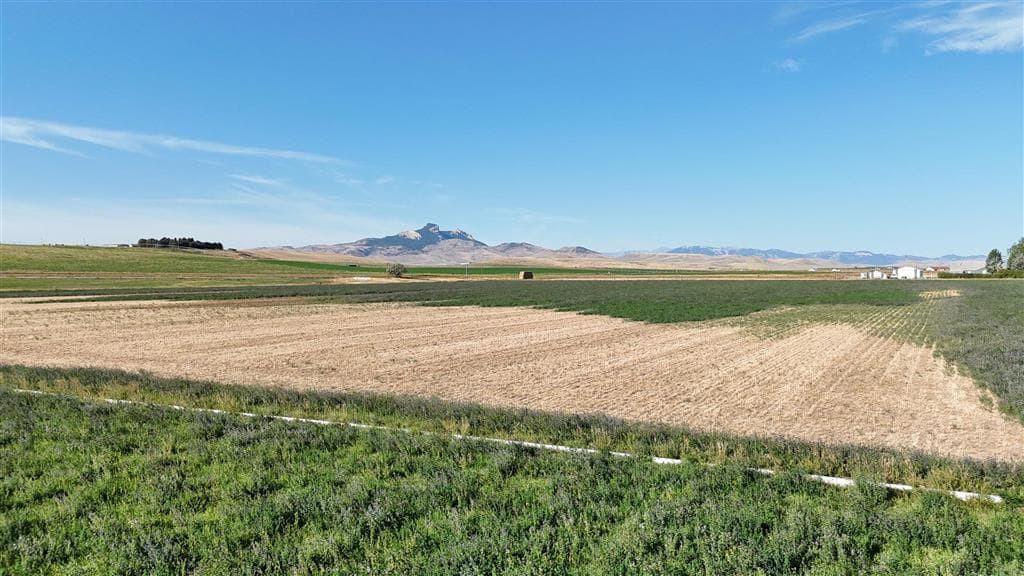 TBD Lane 11 — photo 6 of 12