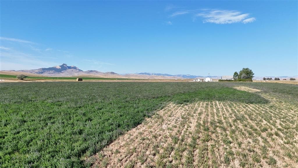 TBD Lane 11 — photo 7 of 12