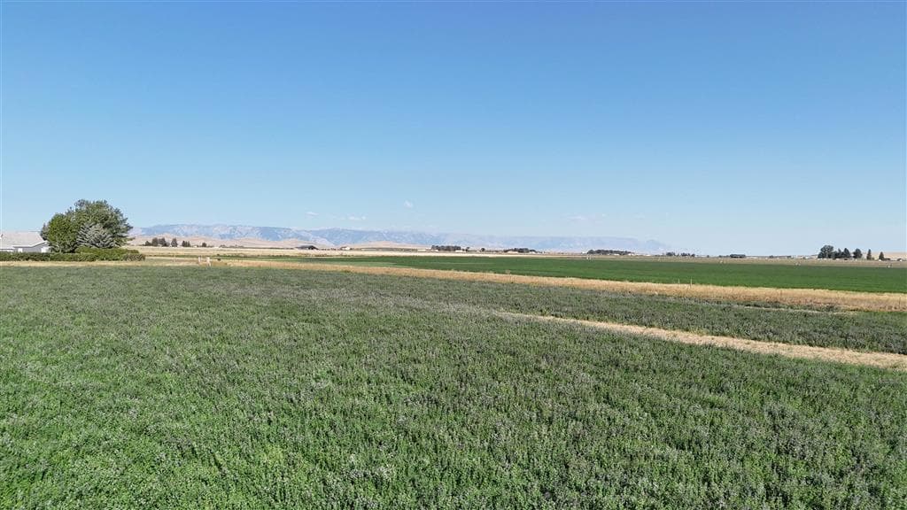 TBD Lane 11 — photo 8 of 12