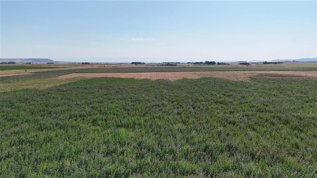 TBD Lane 11 — photo 9 of 12