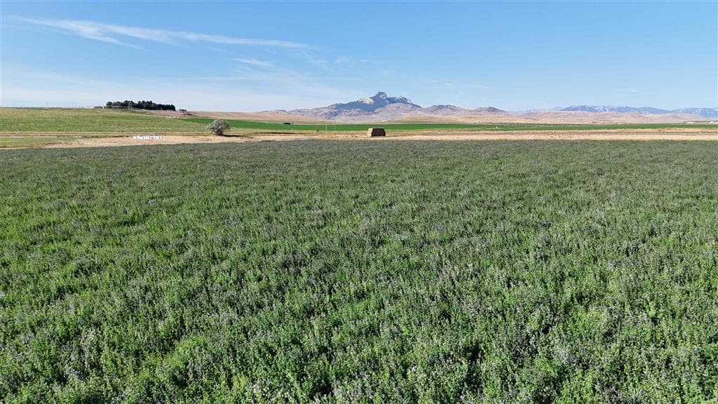 TBD Lane 11 — photo 10 of 12