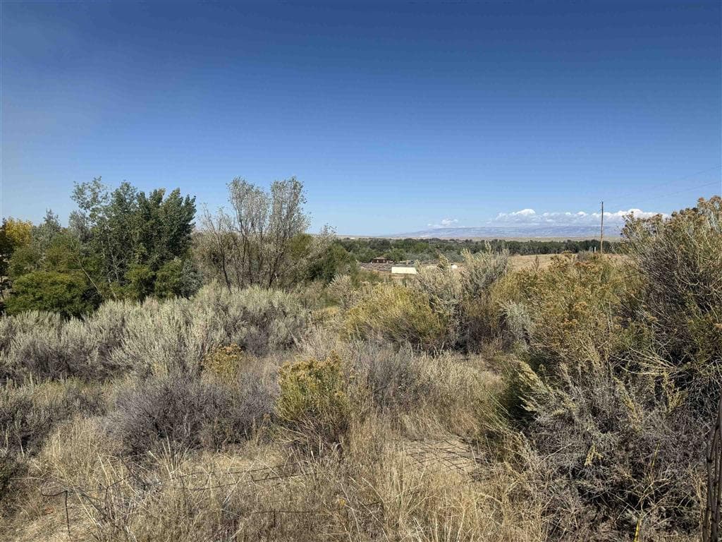 Lots 12 & 17 Hwy 32 — photo 6 of 8