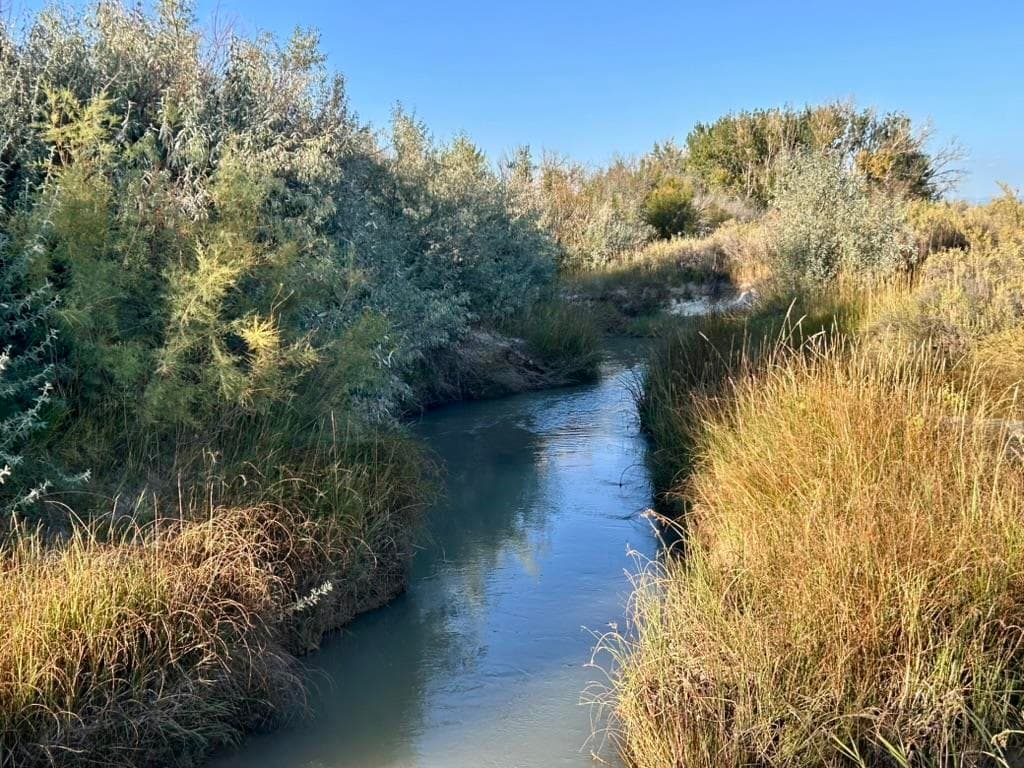 TBD Hwy 32 — photo 2 of 89