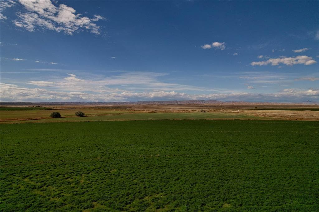 TBD Hwy 32 — photo 14 of 89