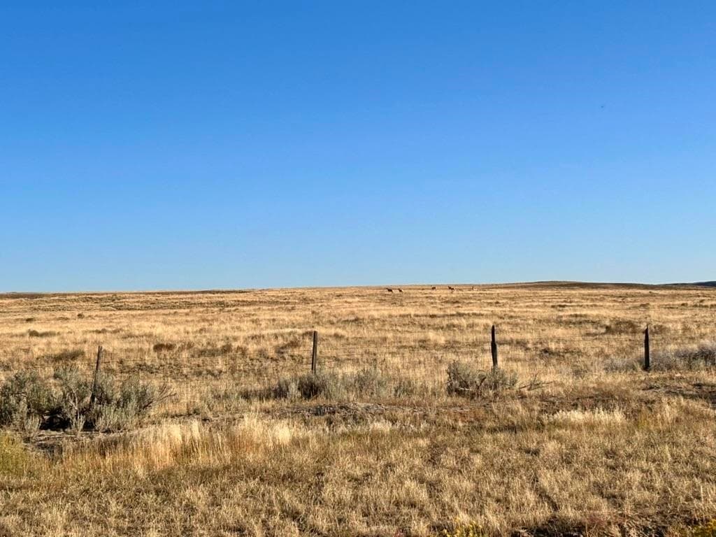 TBD Hwy 32 — photo 21 of 89