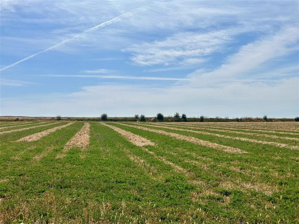 TBD Hwy 32 — photo 30 of 89