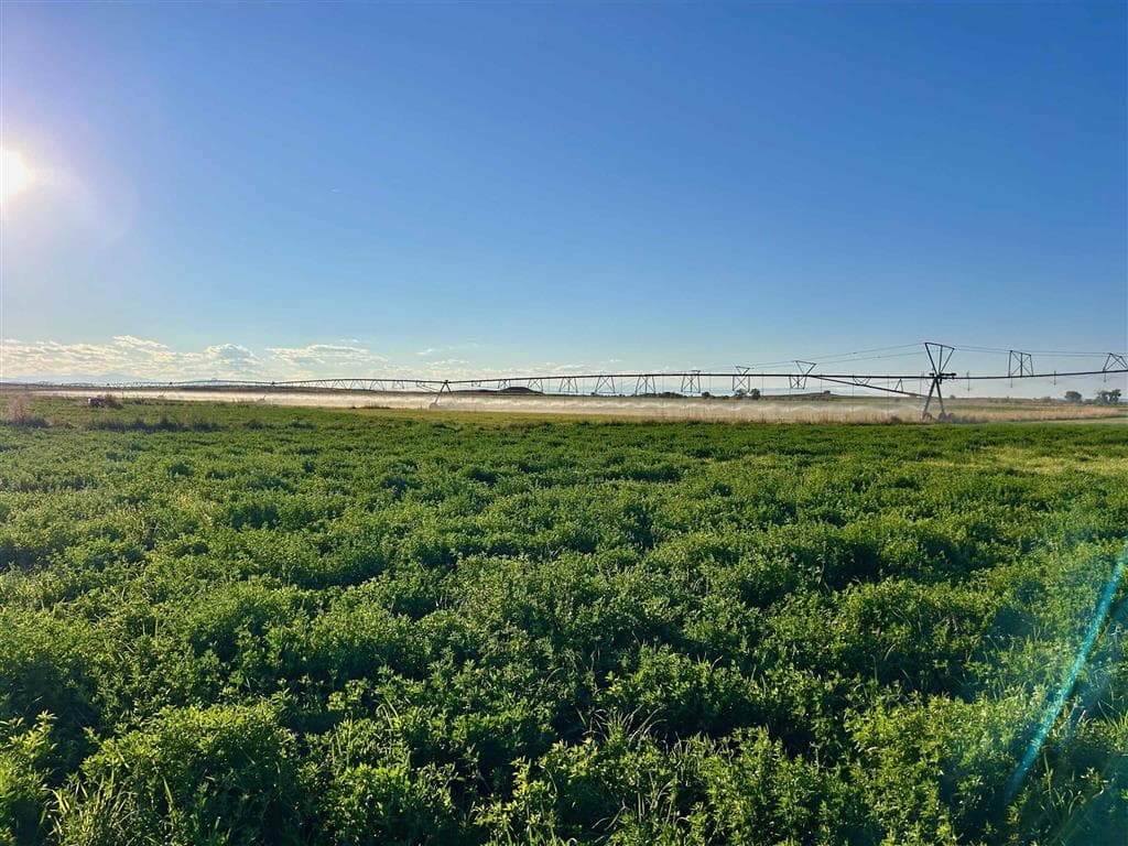 TBD Hwy 32 — photo 87 of 89