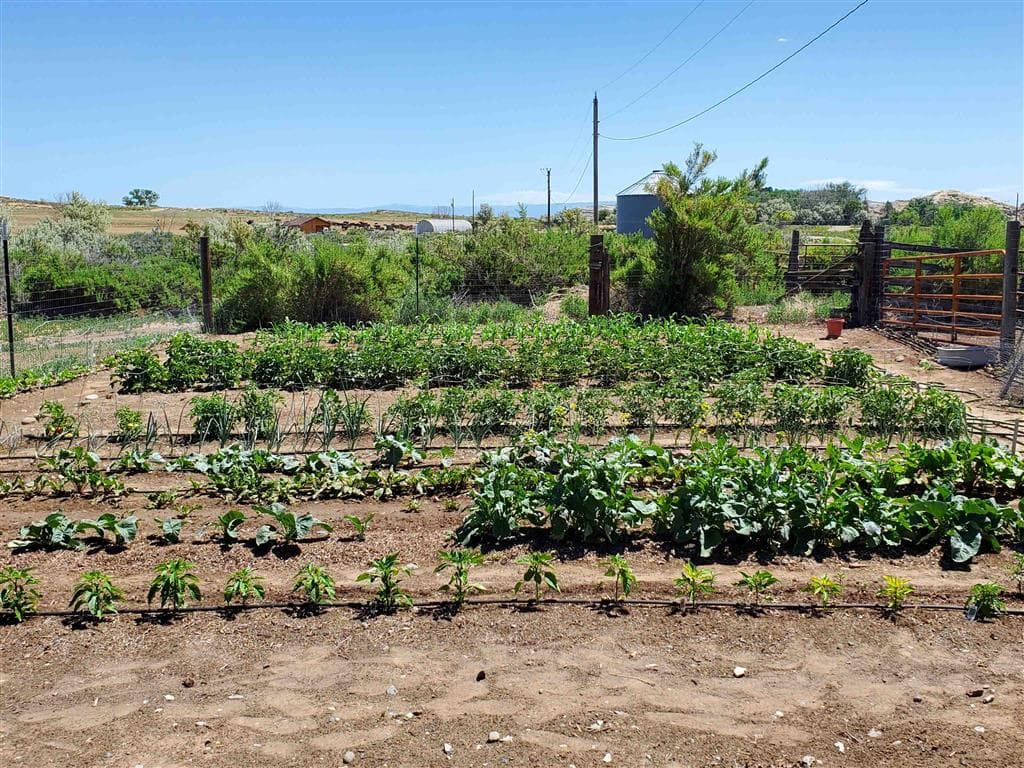 531 Lane 1/2 — photo 51 of 97