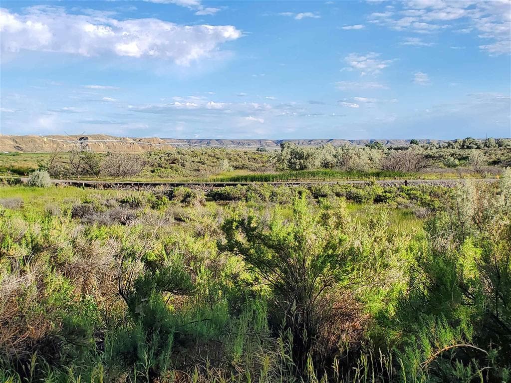 531 Lane 1/2 — photo 52 of 97