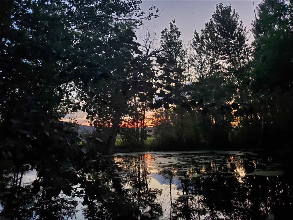 531 Lane 1/2 — photo 53 of 97