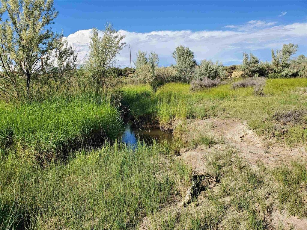 531 Lane 1/2 — photo 56 of 97