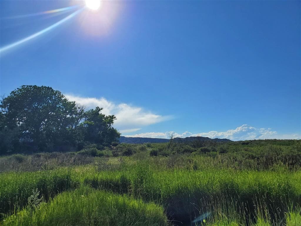 531 Lane 1/2 — photo 57 of 97