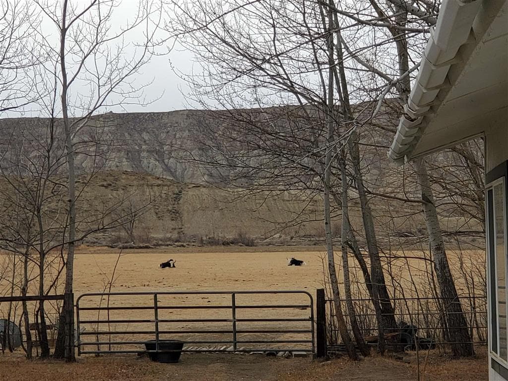 531 Lane 1/2 — photo 58 of 97