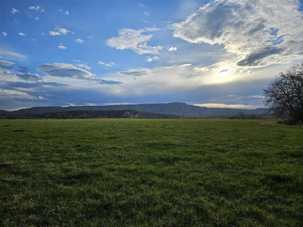 531 Lane 1/2 — photo 59 of 97