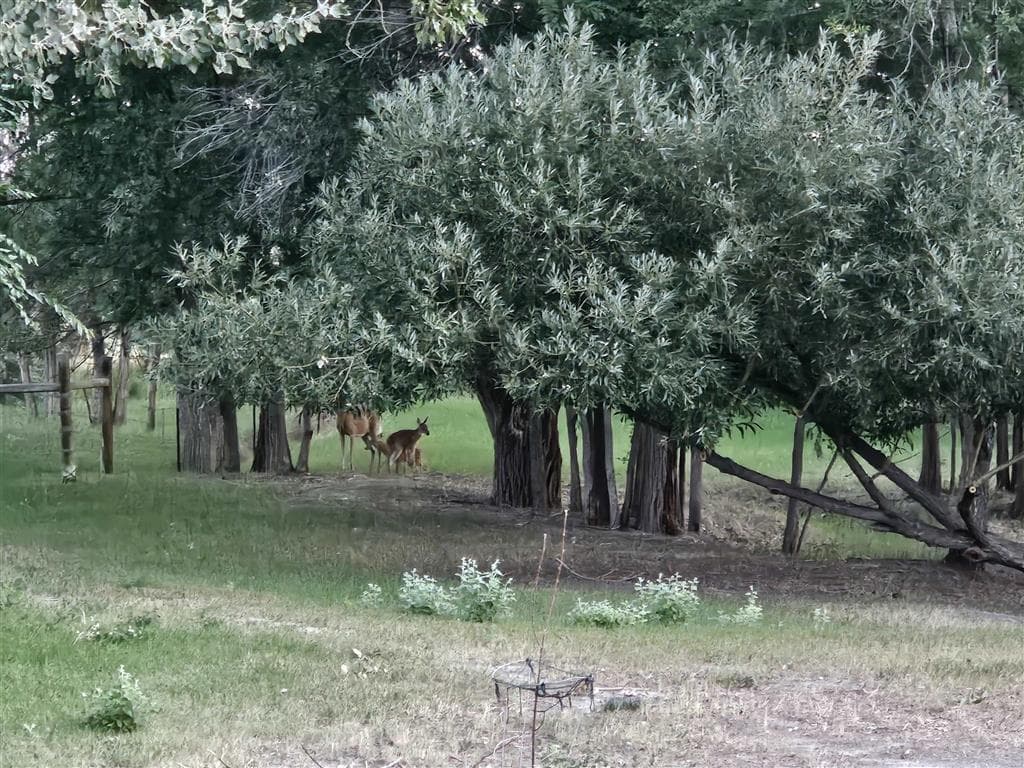 531 Lane 1/2 — photo 60 of 97