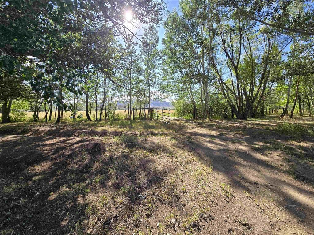 531 Lane 1/2 — photo 78 of 97