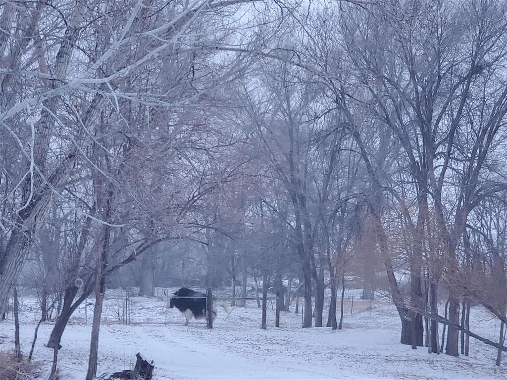 531 Lane 1/2 — photo 81 of 97