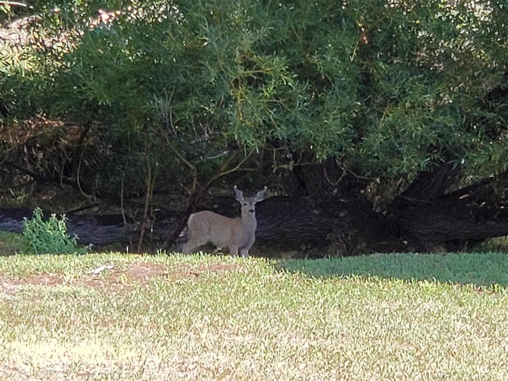 531 Lane 1/2 — photo 87 of 97