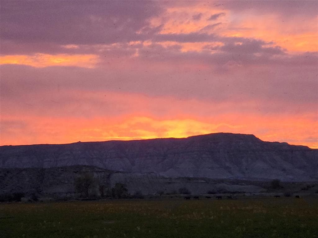 531 Lane 1/2 — photo 88 of 97