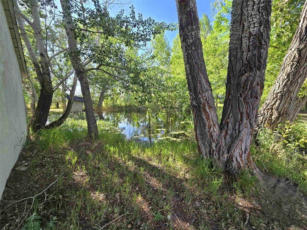 531 Lane 1/2 — photo 93 of 97