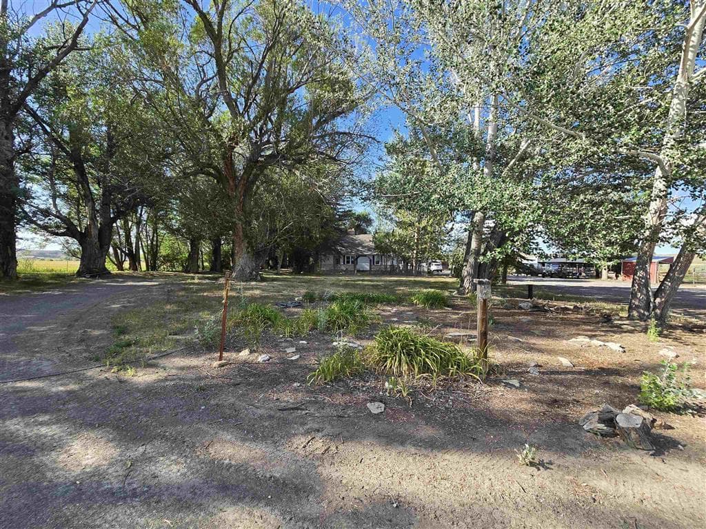 531 Lane 1/2 — photo 94 of 97