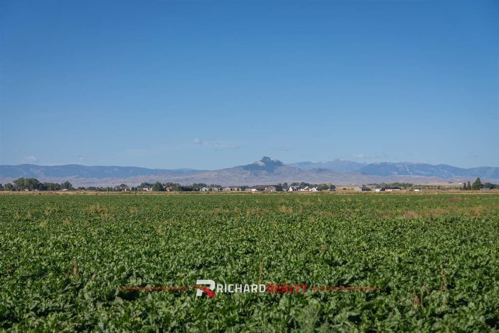 119 Blue Spruce Dr — photo 33 of 34